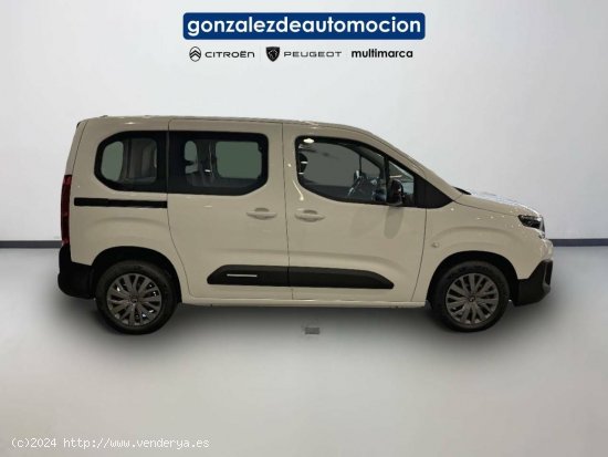 Citroën Berlingo  Talla M BlueHDi 100 S&S Plus - Úbeda