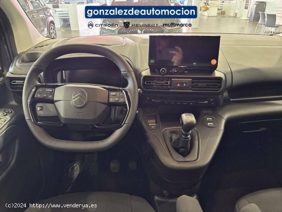 Citroën Berlingo  Talla M BlueHDi 100 S&S Plus - Úbeda