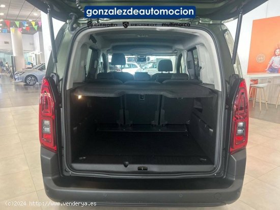 Citroën Berlingo  Talla M BlueHDi 100 S&S Plus - Úbeda