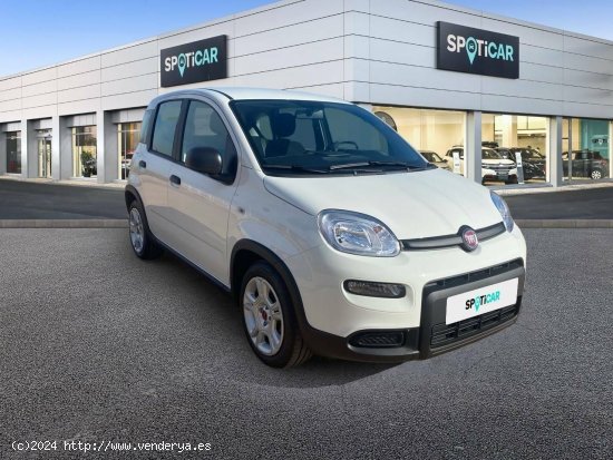 Fiat Panda  Panda Hybrid 1.0 51kw (70CV) - - CANET D EN BERENGUER