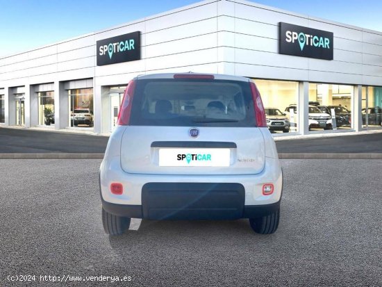 Fiat Panda  Panda Hybrid 1.0 51kw (70CV) - - CANET D EN BERENGUER