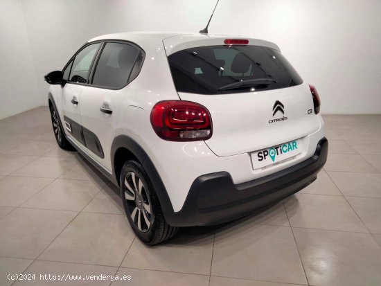 Citroën C3  BlueHDi 75KW (100CV) S&S Shine - VITORIA