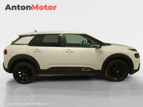 Citroën C4 Cactus  PureTech 110 S&S Origins - VITORIA