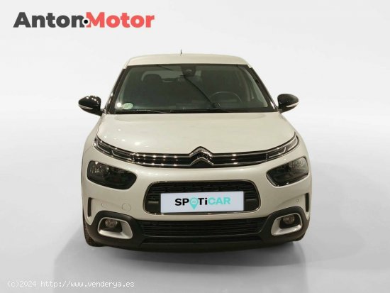 Citroën C4 Cactus  PureTech 130 S&S EAT6 Shine Pack - VITORIA