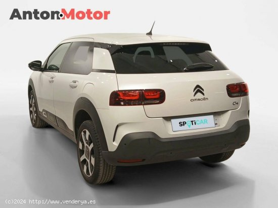 Citroën C4 Cactus  PureTech 130 S&S EAT6 Shine Pack - VITORIA