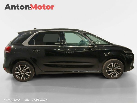 Citroën C4 Spacetourer  BlueHDi 96KW (130CV) EAT8 Feel - VITORIA