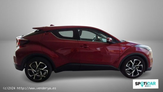 Toyota C-HR  1.8 125H Advance - Quintanar De La Orden