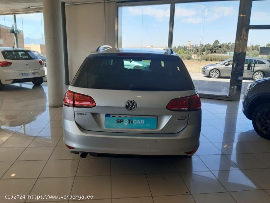 Volkswagen Golf   1.6 TDI 85kW (115CV) Variant Advance - Manresa