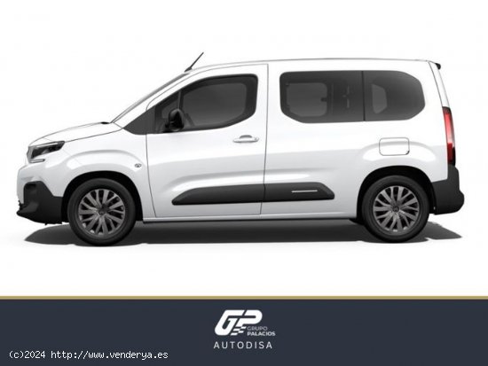 Citroën Berlingo Talla M BlueHDi 100 S&S PLUS - Camins al Grau