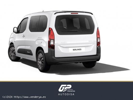 Citroën Berlingo Talla M BlueHDi 100 S&S PLUS - Camins al Grau