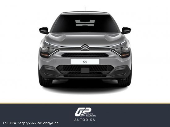 Citroën C4 X PureTech 100 S&S 6v You - Camins al Grau