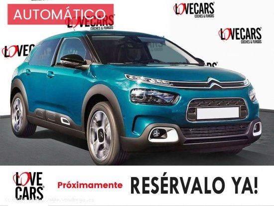  Citroën C4 Cactus BlueHDi 120 S&S EAT6 Shine - VIgo 