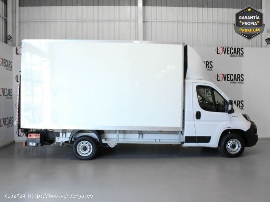 Fiat Ducato 2.3 MJT C/PLATAFORMA 140 - VIgo