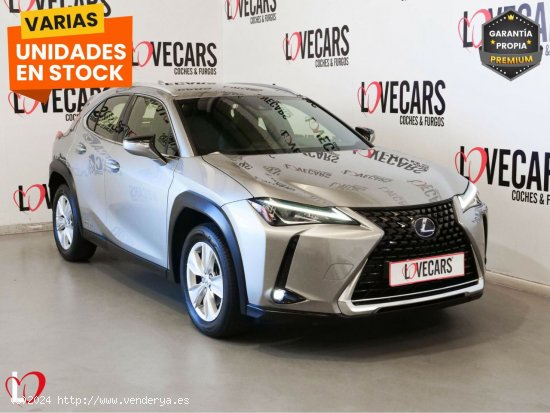  Lexus UX 2.0 250h Business - VIgo 