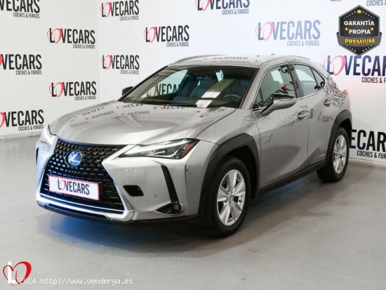 Lexus UX 2.0 250h Business - VIgo