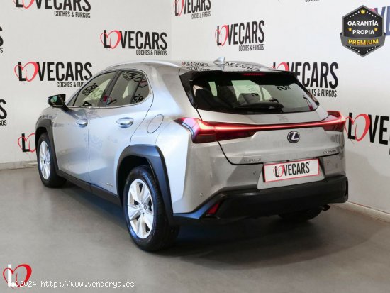 Lexus UX 2.0 250h Business - VIgo