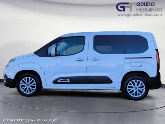 Citroën Berlingo TALLA M BLUE HDI 100 CV FEEL - Ponteareas