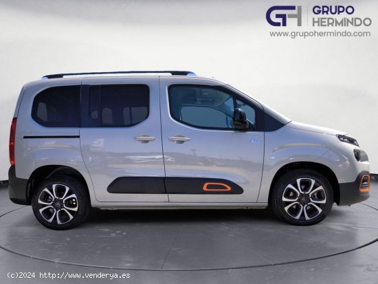 Citroën Berlingo TALLA M BLUE HDI 100 CV SHINE - Ponteareas