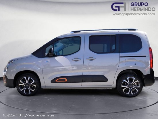 Citroën Berlingo TALLA M BLUE HDI 100 CV SHINE - Ponteareas