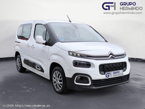 Citroën Berlingo TALLA M BLUE HDI FEEL - Ponteareas