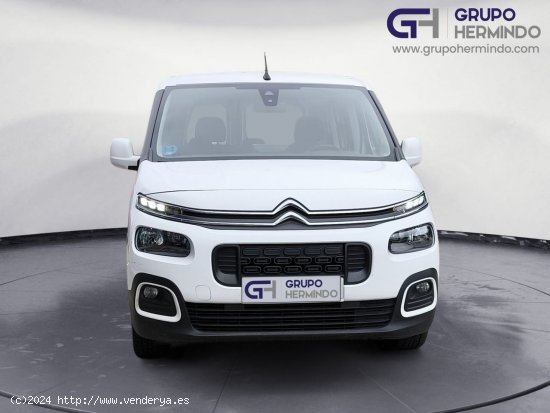 Citroën Berlingo TALLA M BLUE HDI FEEL - Ponteareas