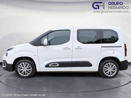 Citroën Berlingo TALLA M BLUE HDI FEEL - Ponteareas