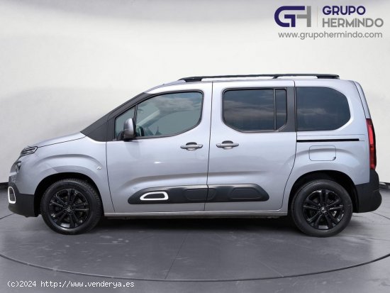 Citroën Berlingo TALLA M FEEL BLUE HDI 100 CV - Ponteareas