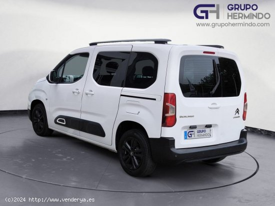 Citroën Berlingo TALLA M FEEL BLUE HDI 100 CV - Ponteareas