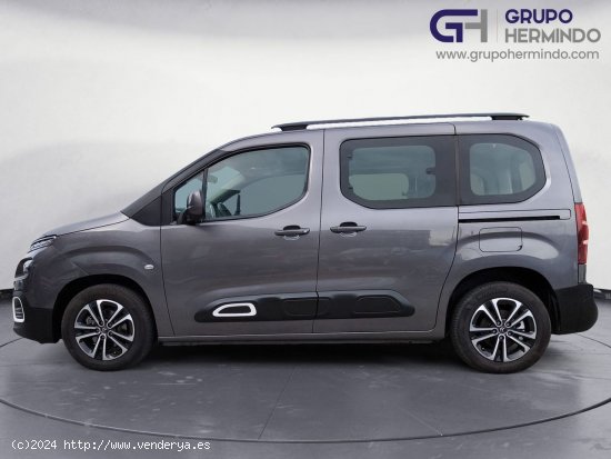 Citroën Berlingo TALLA M FEEL BLUE HDI 100 CV - Ponteareas