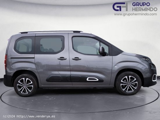 Citroën Berlingo TALLA M FEEL BLUE HDI 100 CV - Ponteareas