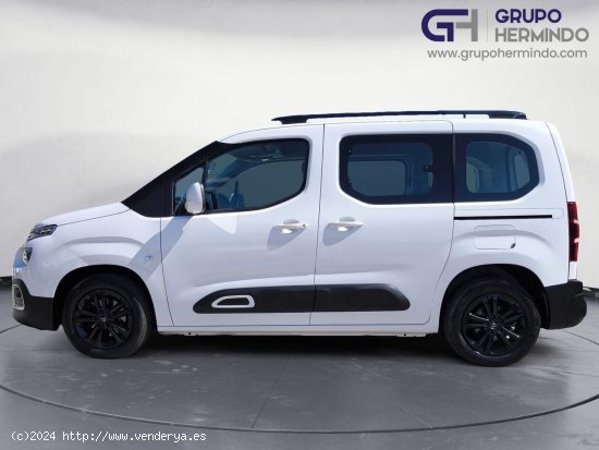 Citroën Berlingo TALLA M FEEL BLUE HDI 100 CV - Ponteareas