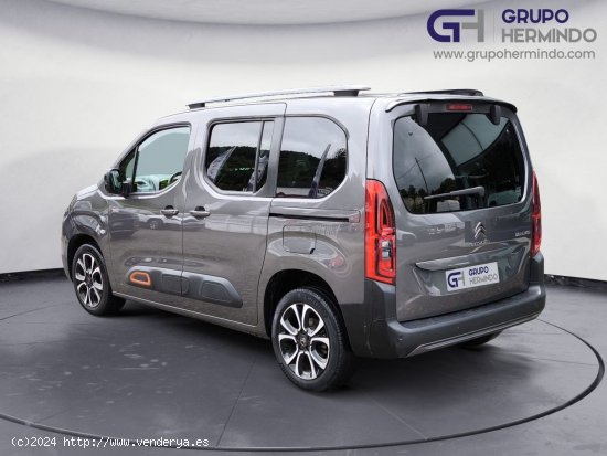 Citroën Berlingo TALLA M SHINE BLUE HDI 130 CV - Ponteareas