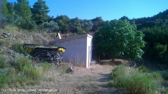 Suelo rústico en venta  en Beceite - Teruel