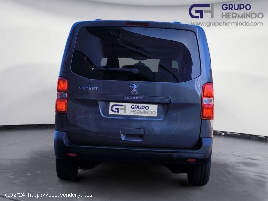 Peugeot Expert CB STANDARD BLUE HDI 120 CV - Ponteareas