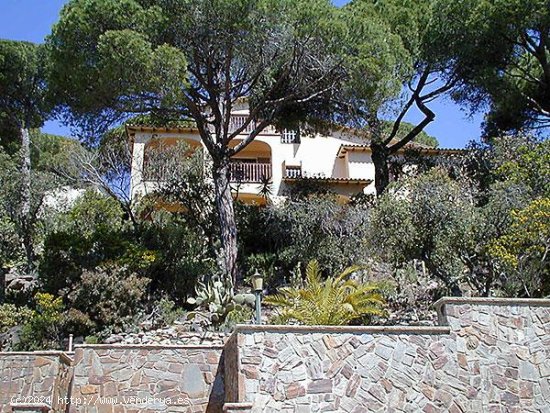 Chalet / Torre en venta  en Lloret de Mar - Girona