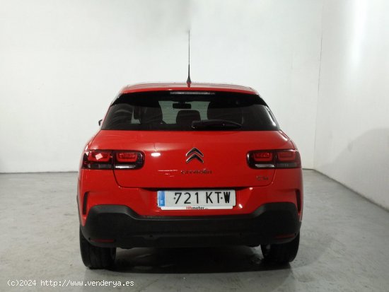 Citroën C4 Cactus Feel - Collado Villalba