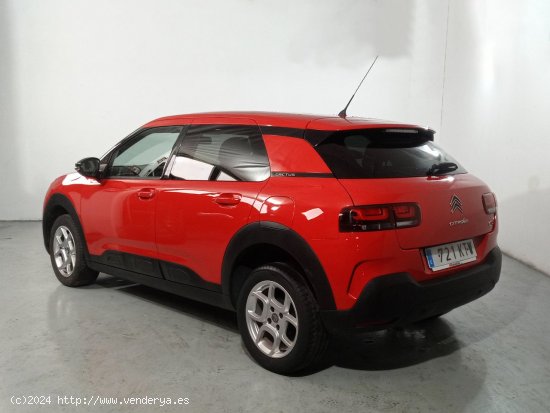 Citroën C4 Cactus Feel - Collado Villalba