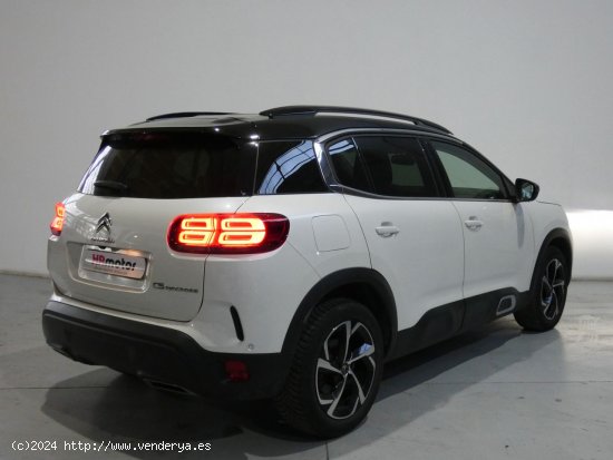 Citroën C5 Aircross Business - Galdakao