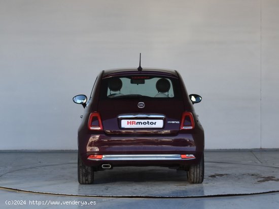 Fiat 500 Dolce Vita - Pamplona