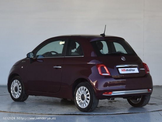 Fiat 500 Dolce Vita - Pamplona