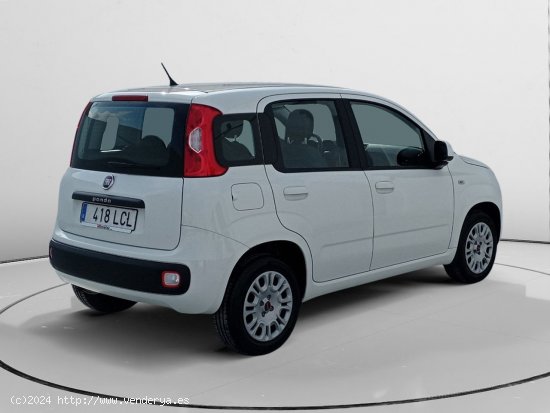 Fiat Panda Easy - Murcia