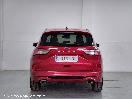 Ford Kuga ST-Line - Murcia