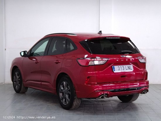 Ford Kuga ST-Line - Murcia