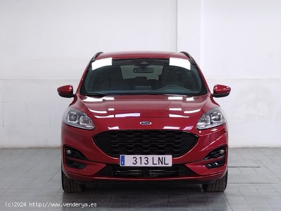 Ford Kuga ST-Line - Murcia