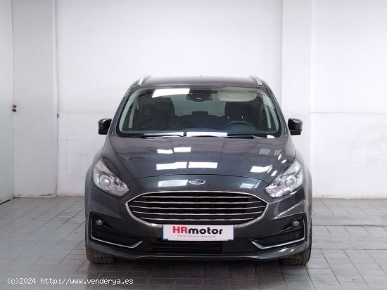 Ford S Max Titanium - Fontellas