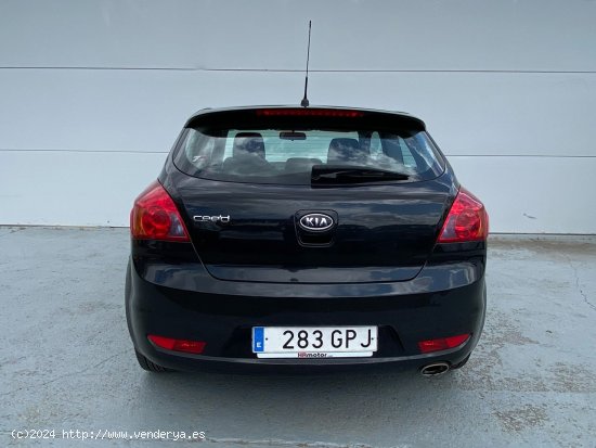 Kia Ceed Active - Zaragoza