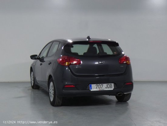 Kia Ceed Business - Alicante