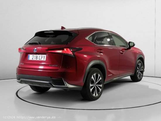 Lexus NX 300h - Valladolid