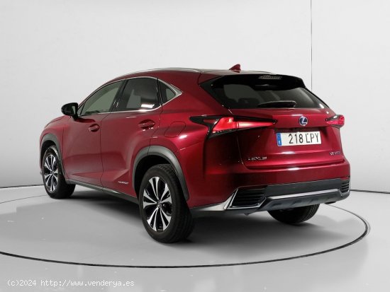 Lexus NX 300h - Valladolid