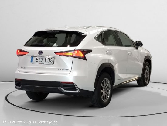 Lexus NX 300h - Asturias